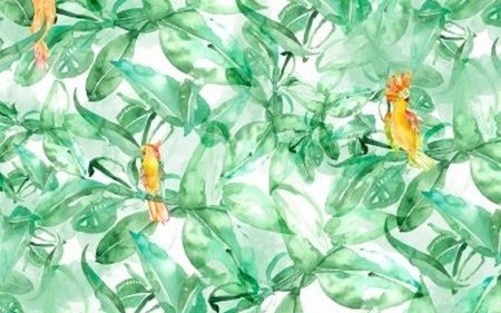FINDS PARROTS 4800074